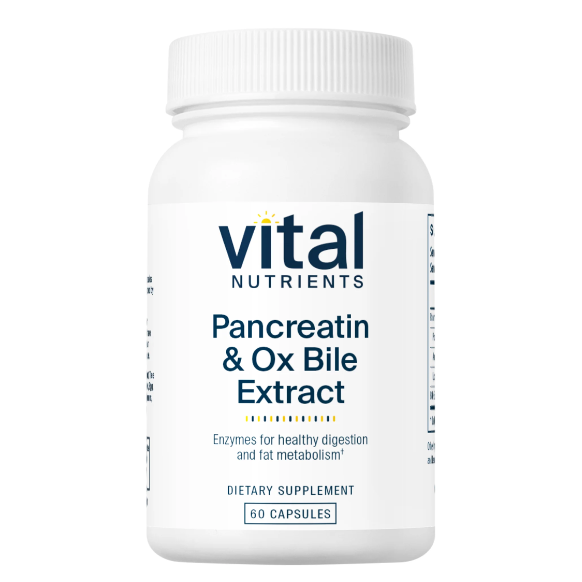 Pancreatin and Ox Bile by Vital Nutrients