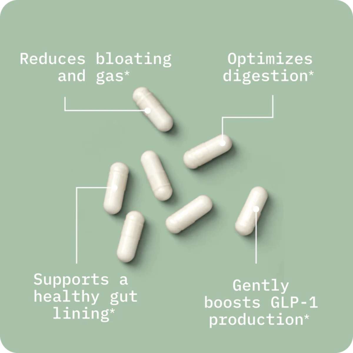 Butyrate (Sodium) 100 ct. by BodyBio