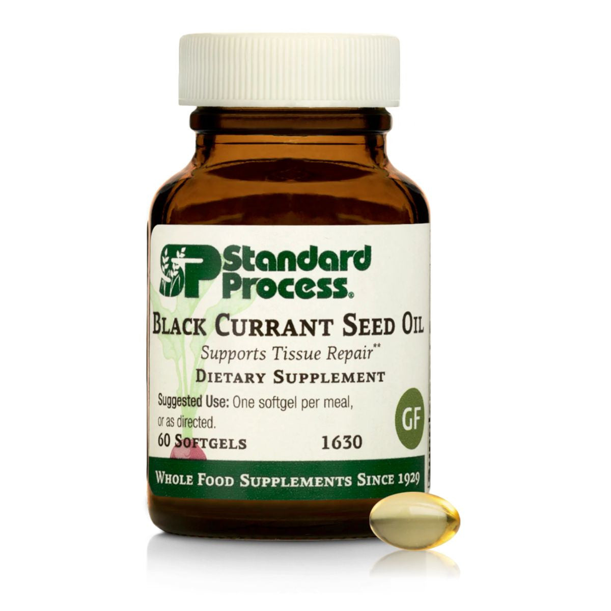 Black Currant Seed Oil (60 softgels) by Standard Process