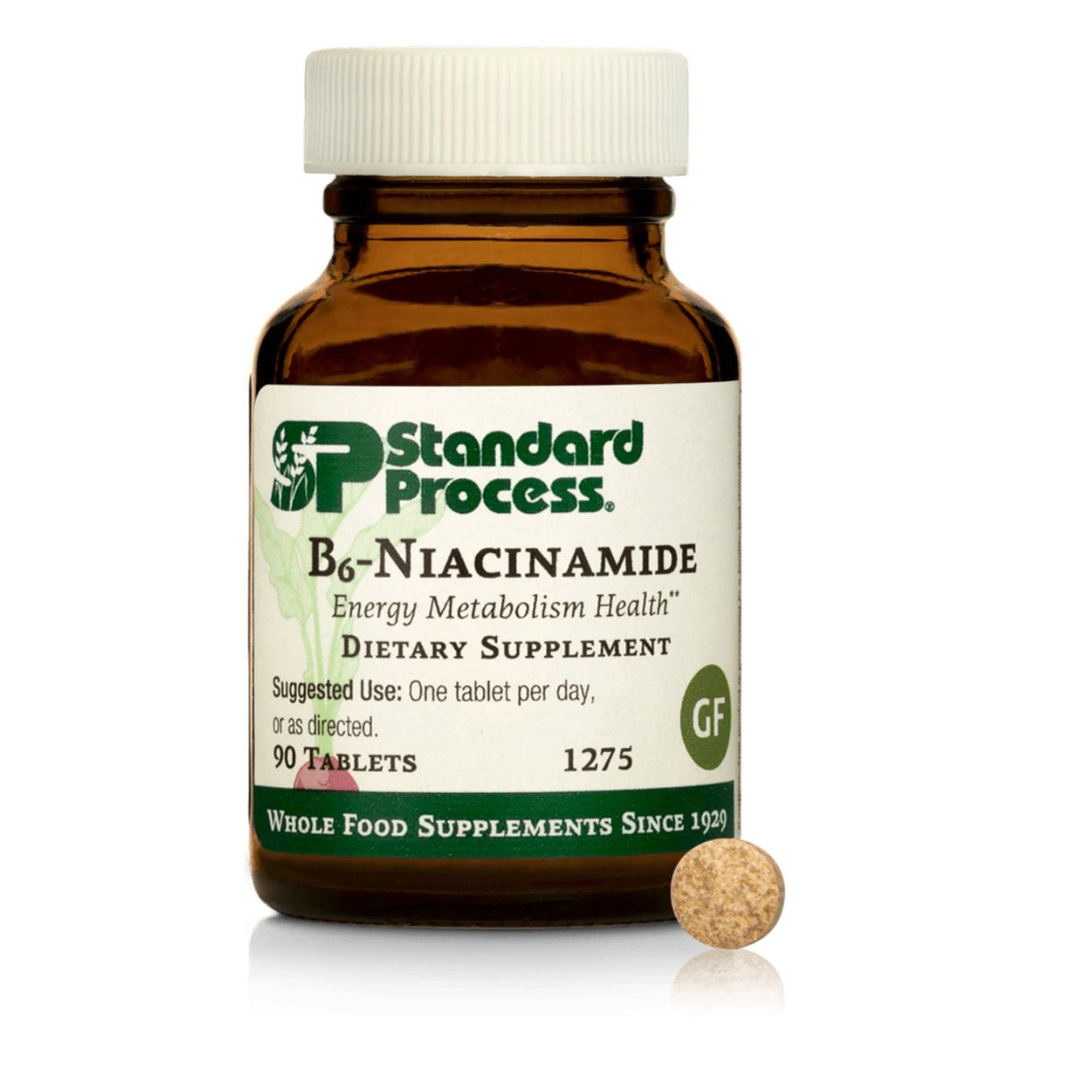 B6-Niacinamide (90 tablets) by Standard Process