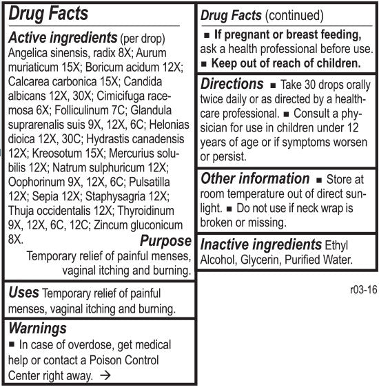 Gyne Chord by Energetix