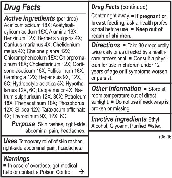 Hepata Chord by Energetix