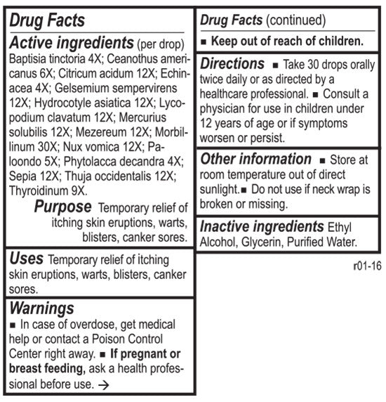 HZ Chord by Energetix
