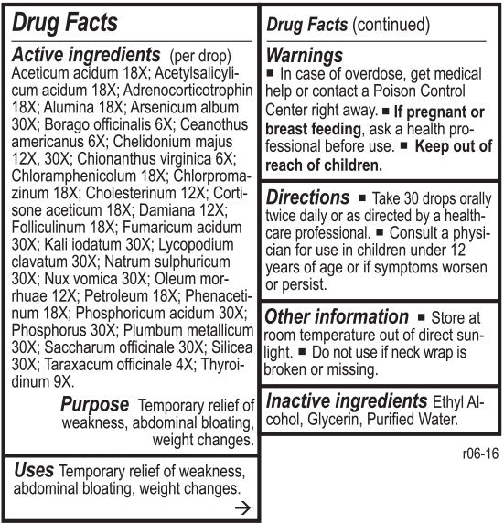 Lipo Chord by Energetix