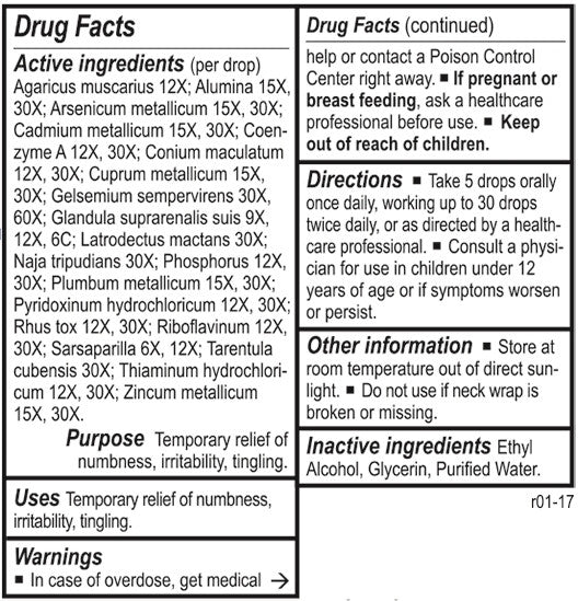 Neuro Chord by Energetix