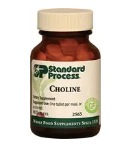 Choline (90 tablets) by Standard Process