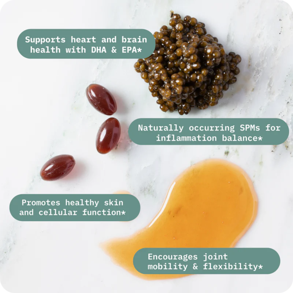 Fish Oil 60 ct. by BodyBio