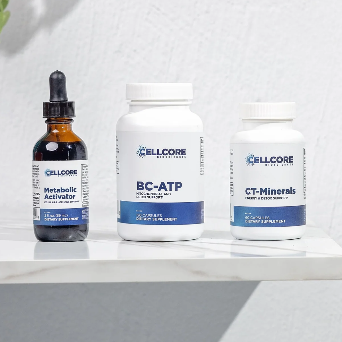 Energy Boost Kit by CellCore Biosciences