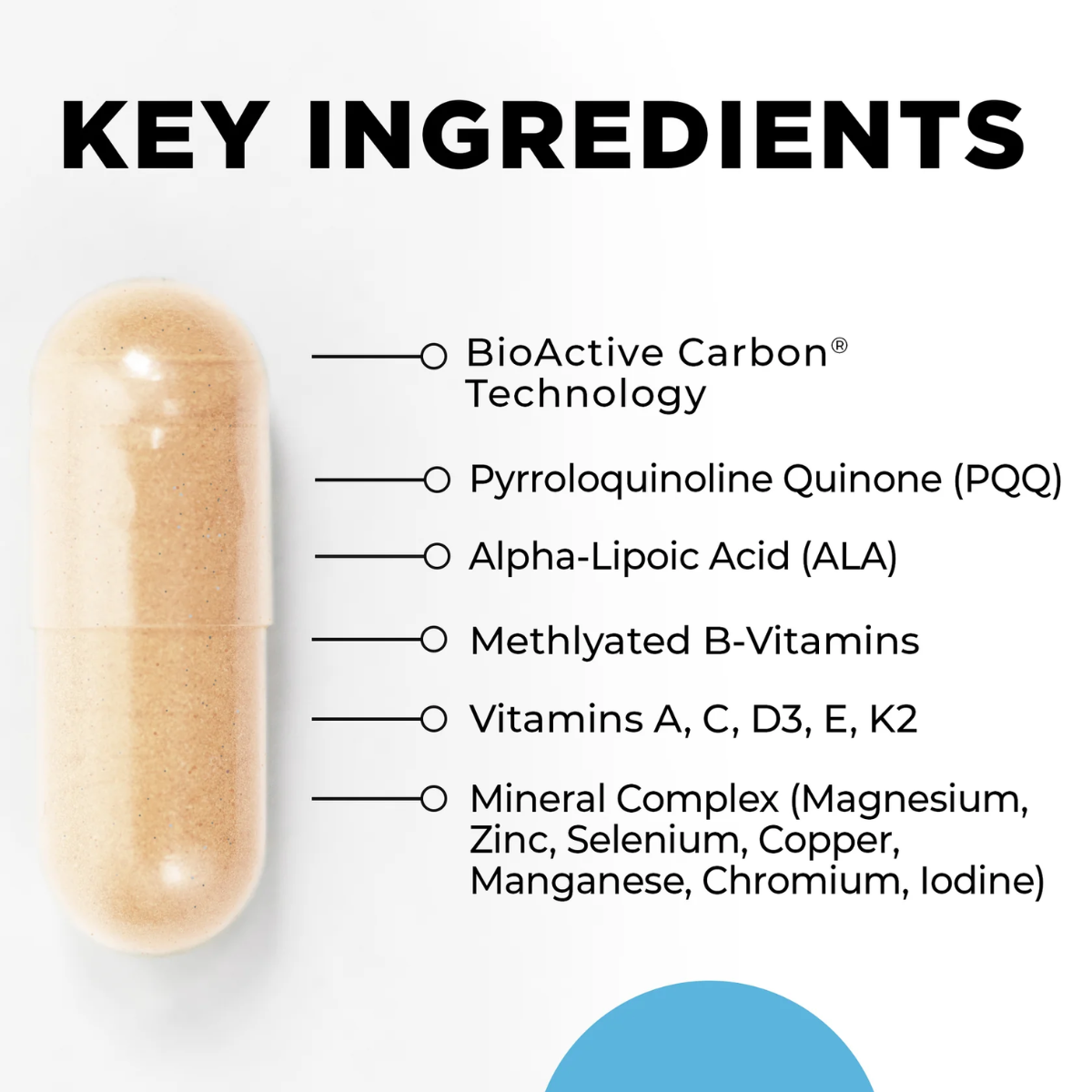 Key Cellular Nutrition Core Nutrients by CellCore Biosciences