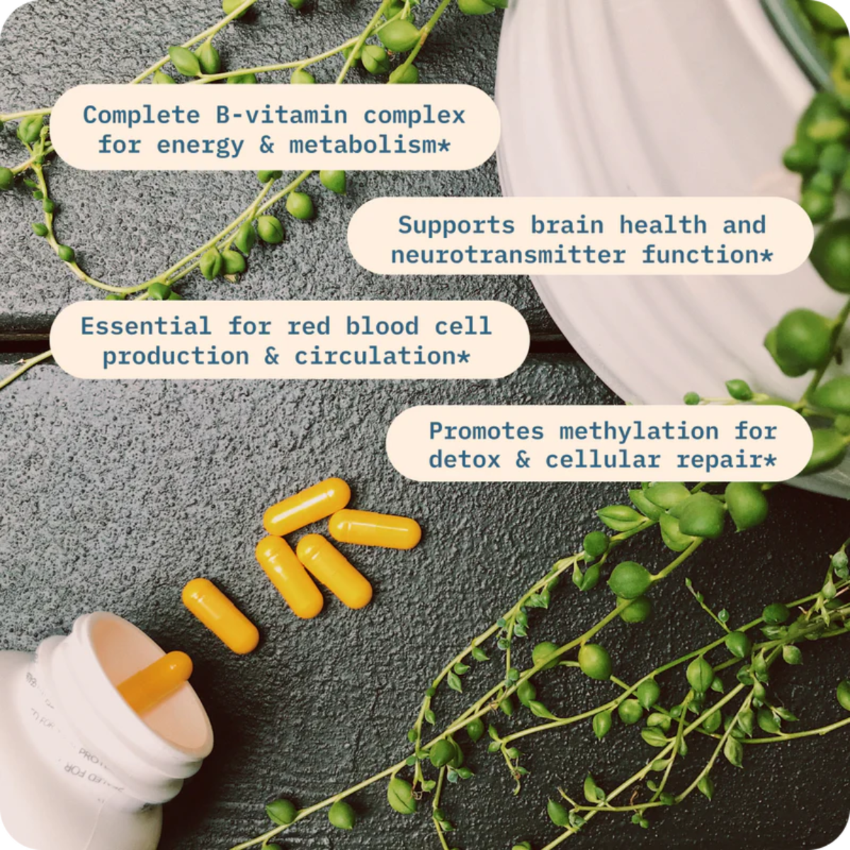 Vitamin B+ 90 ct. by BodyBio