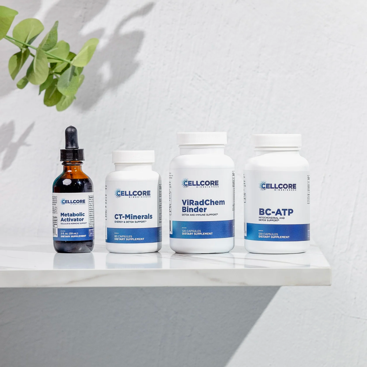 RAD Kit by CellCore Biosciences