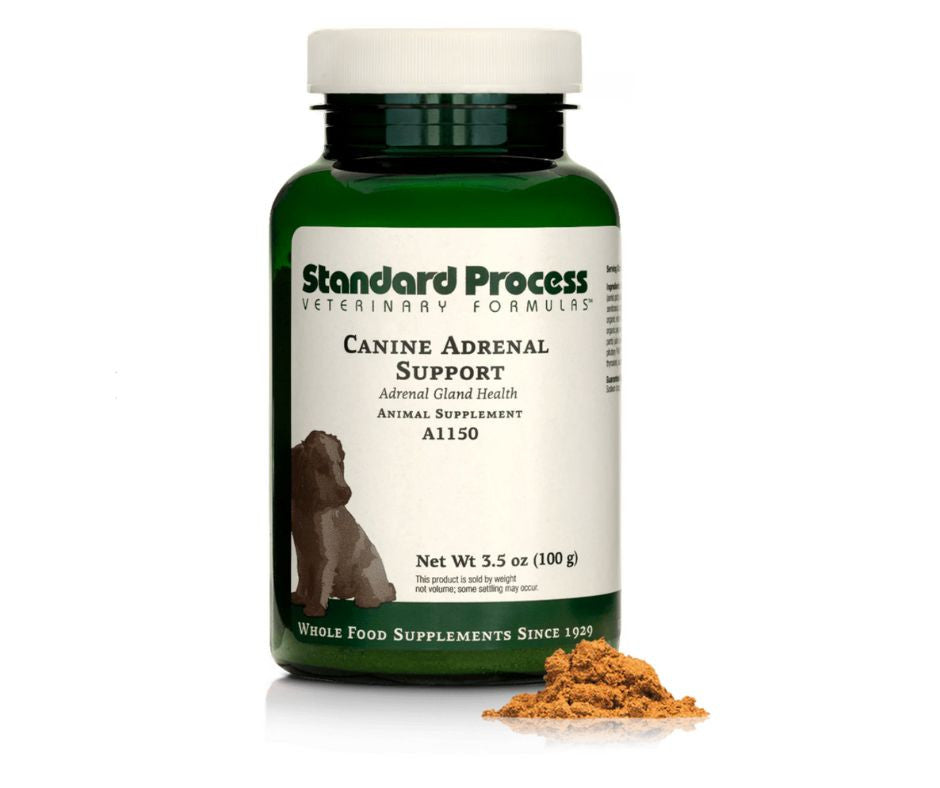 Canine Adrenal Support (100 g) by Standard Process Veterinary Formulas