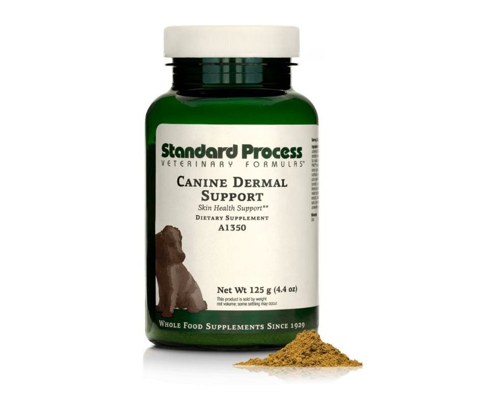 Canine Dermal Support (125 g) by Standard Process Veterinary Formulas