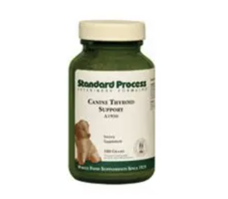 Canine Thyroid Support (25 g) by Standard Process Veterinary Formulas