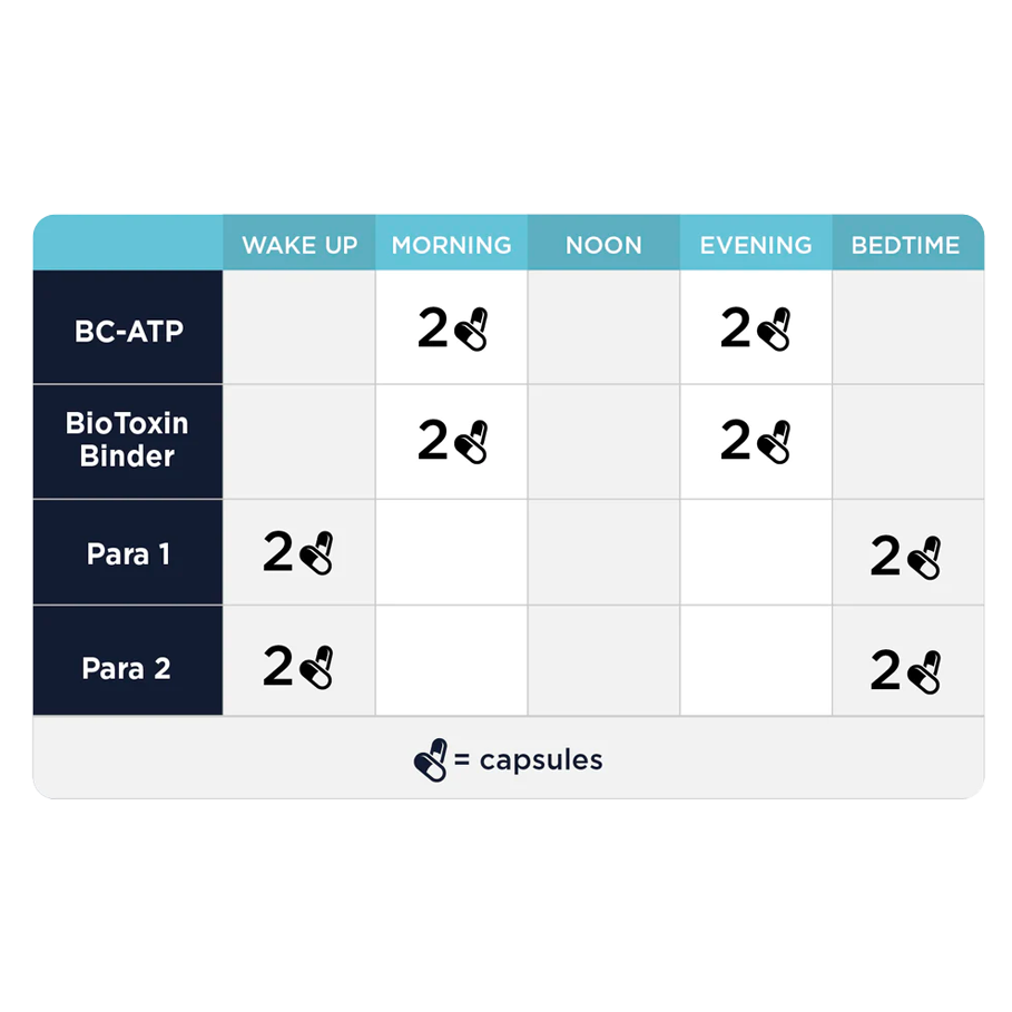 Step 2: Gut & Immune Support by CellCore Biosciences