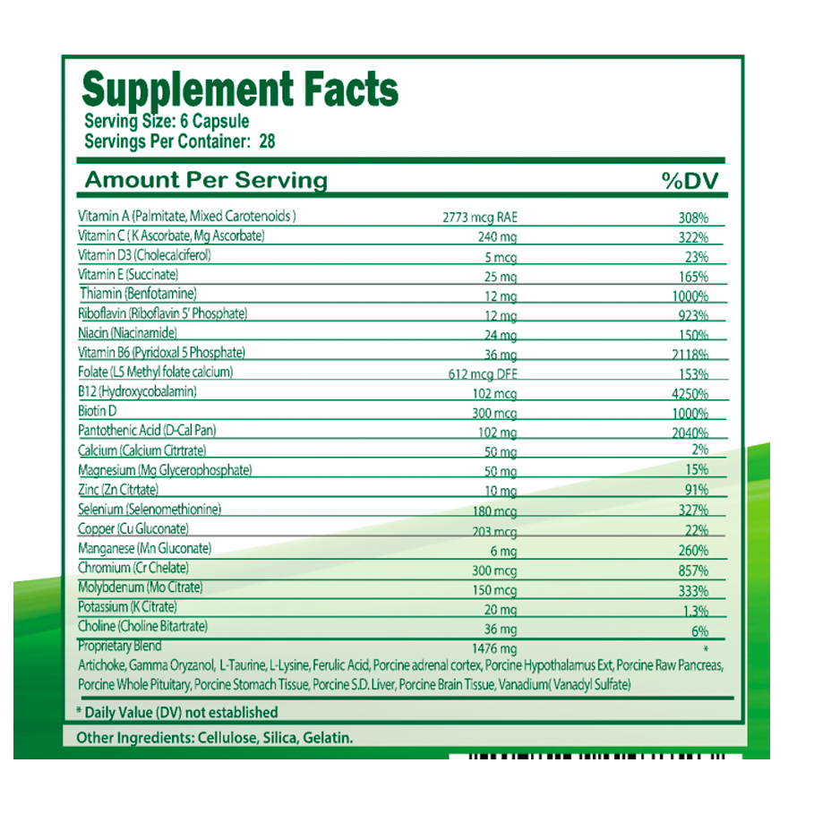 CGF (Complete Glucose Formula) by Zorex
