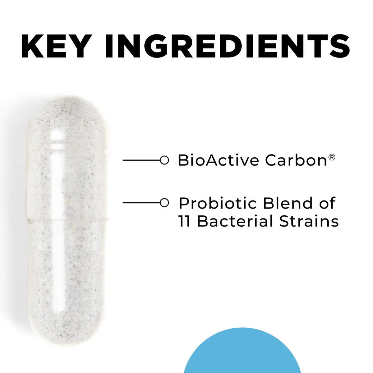 CellCore CT-Biotic probiotic supplement with BioActive Carbon for digestive and detox support, 60 capsules