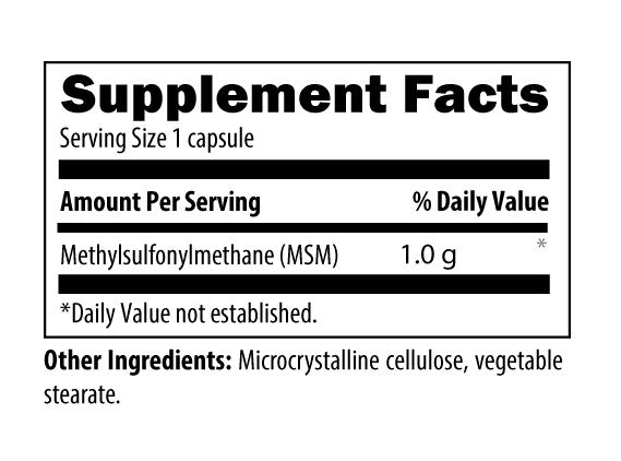 MSM by Designs for Health