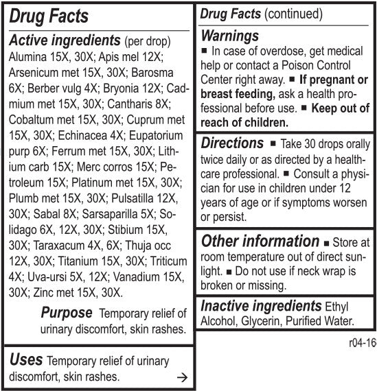 Rena Chord by Energetix