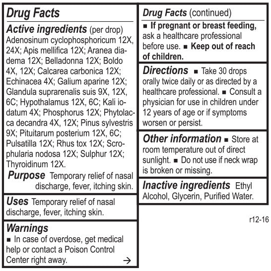 Lymph Tone I by Energetix