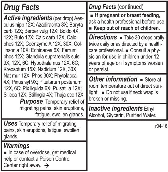 Lymph Tone II by Energetix