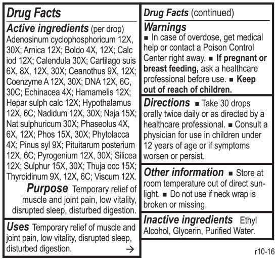 Lymph Tone III by Energetix