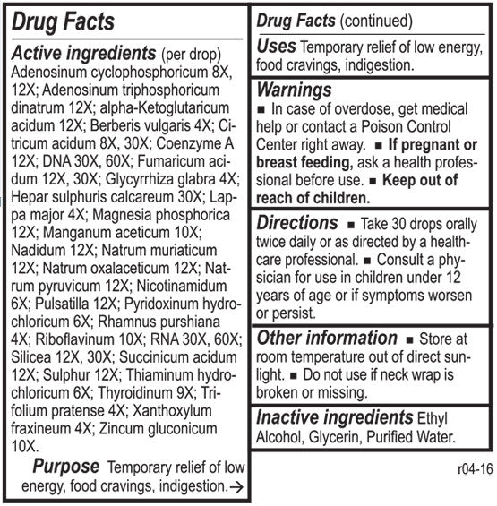 Metabopath by Energetix