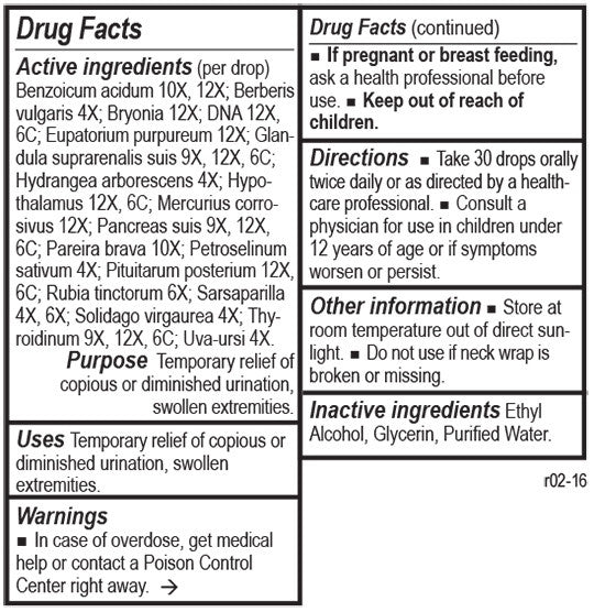 Renapath by Energetix