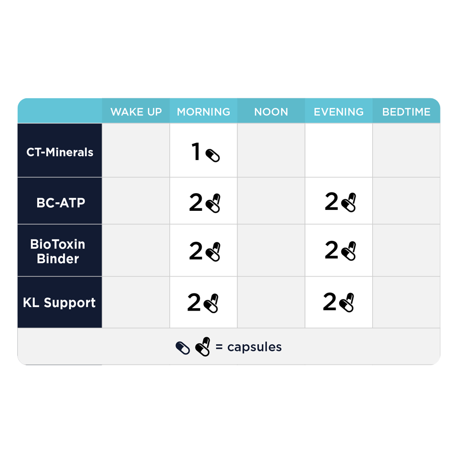 Jumpstart Kit by CellCore Biosciences