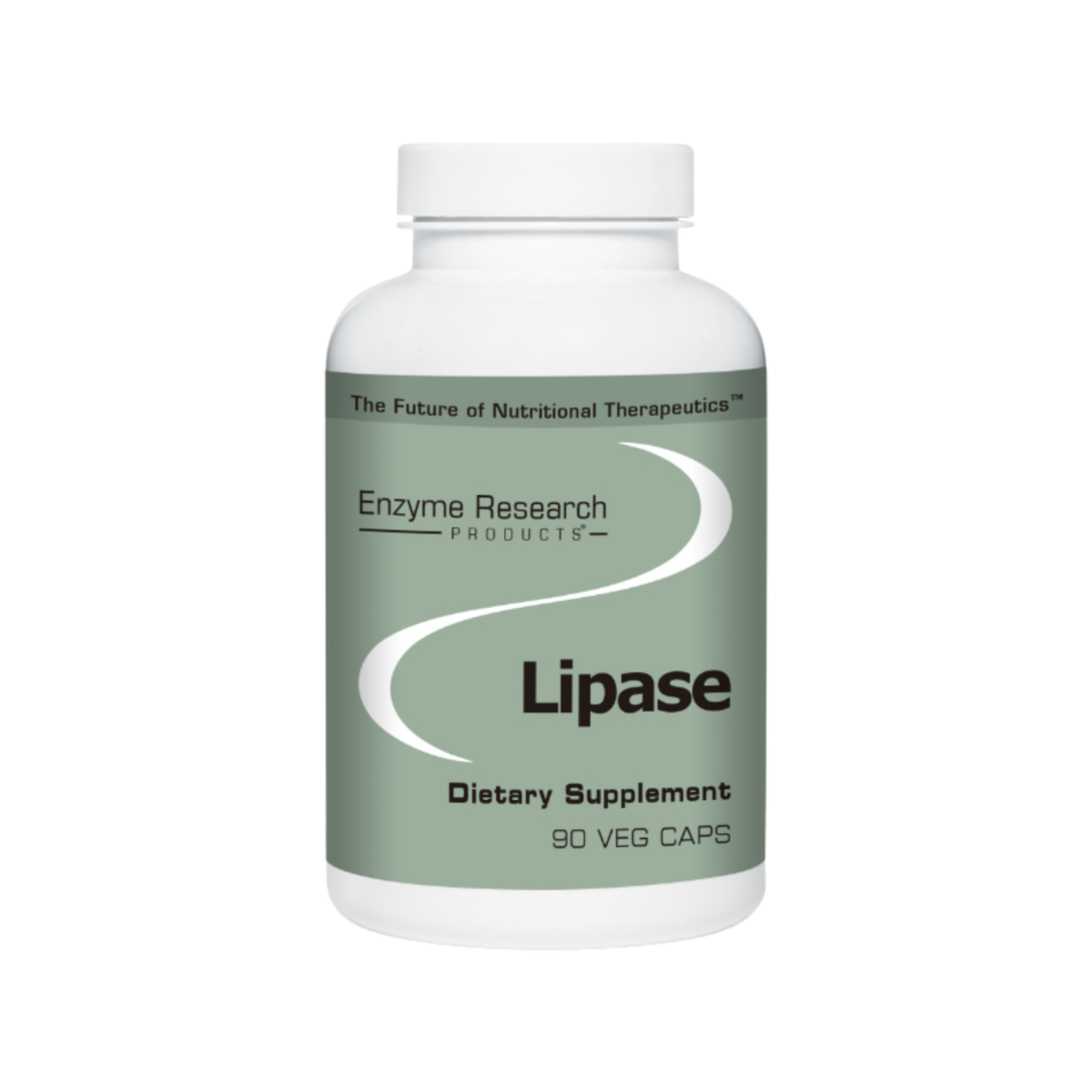 Lipase aids in digesting fats to support metabolism.