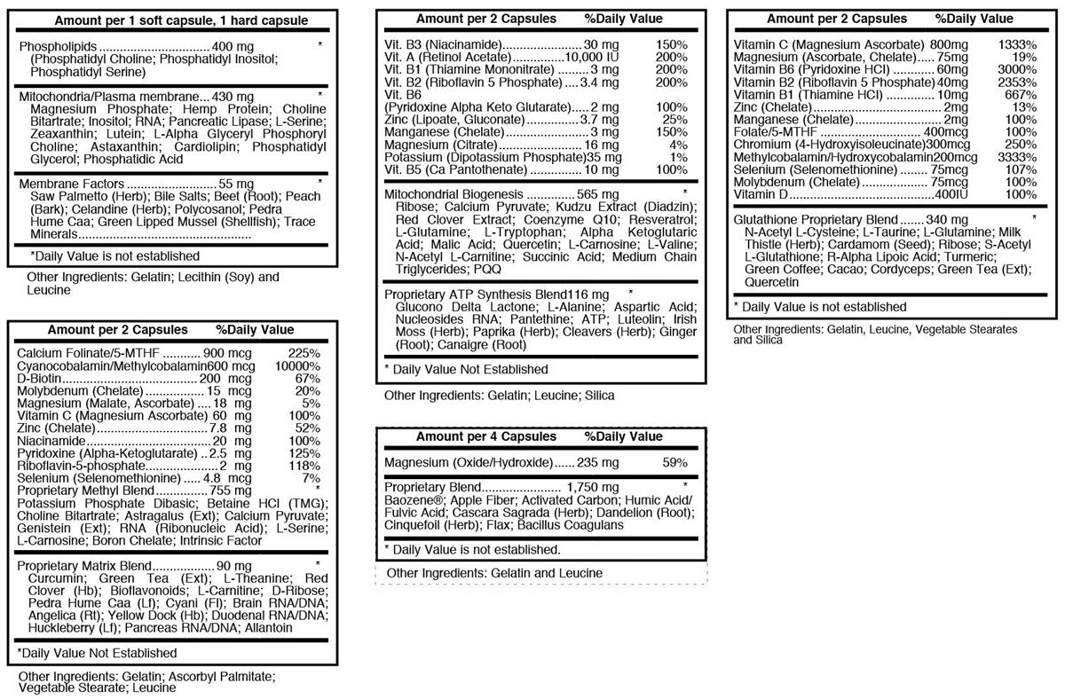 BODY PHASE by Systemic Formulas
