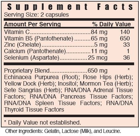 CXGa-Adrenal by Systemic Formulas
