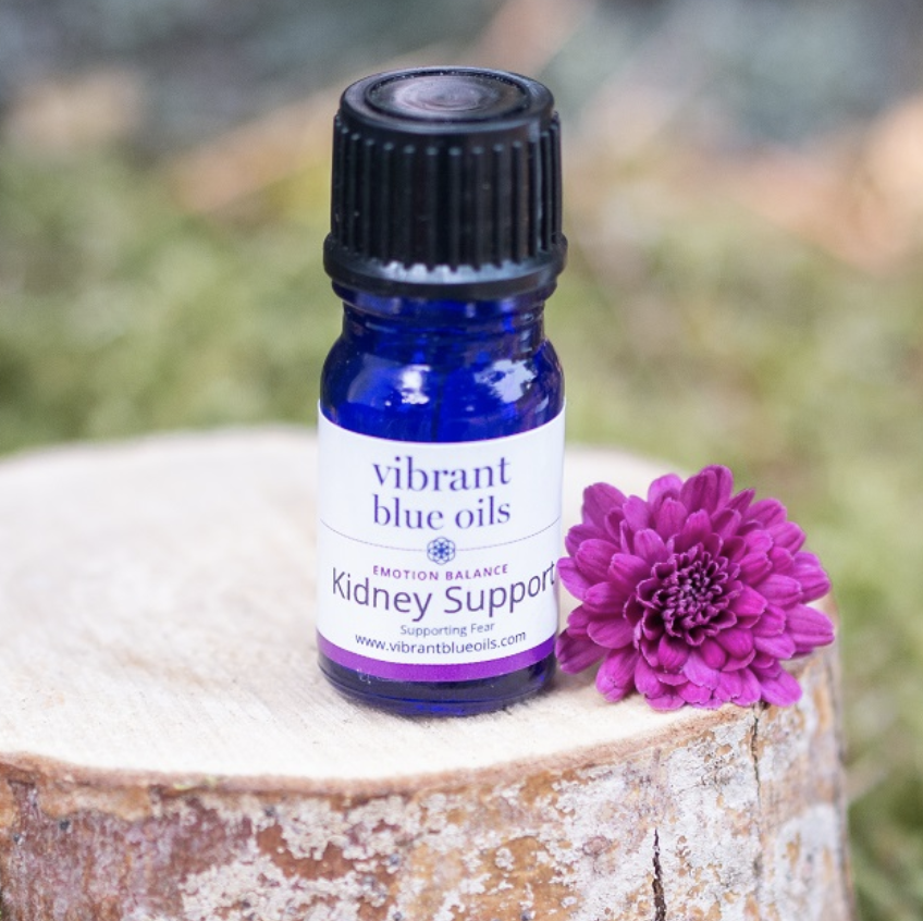 Kidney Support 5 ML by Vibrant Blue Oils