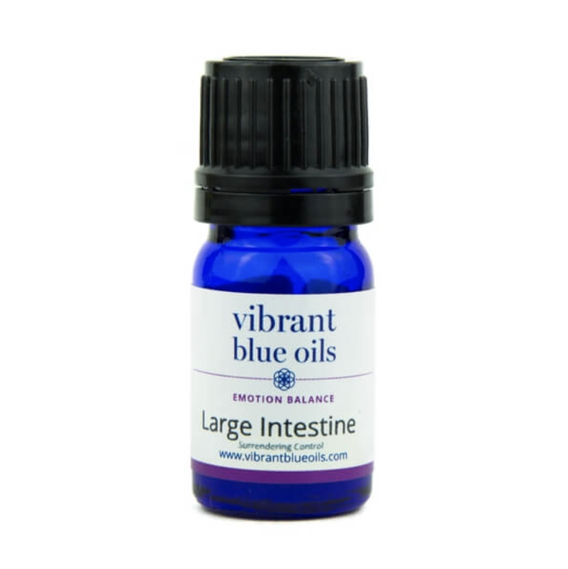 Large Intestine Support - 5 ML by Vibrant Blue Oils