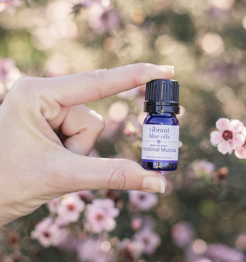 Intestinal Mucosa - 5 ML by Vibrant Blue Oils