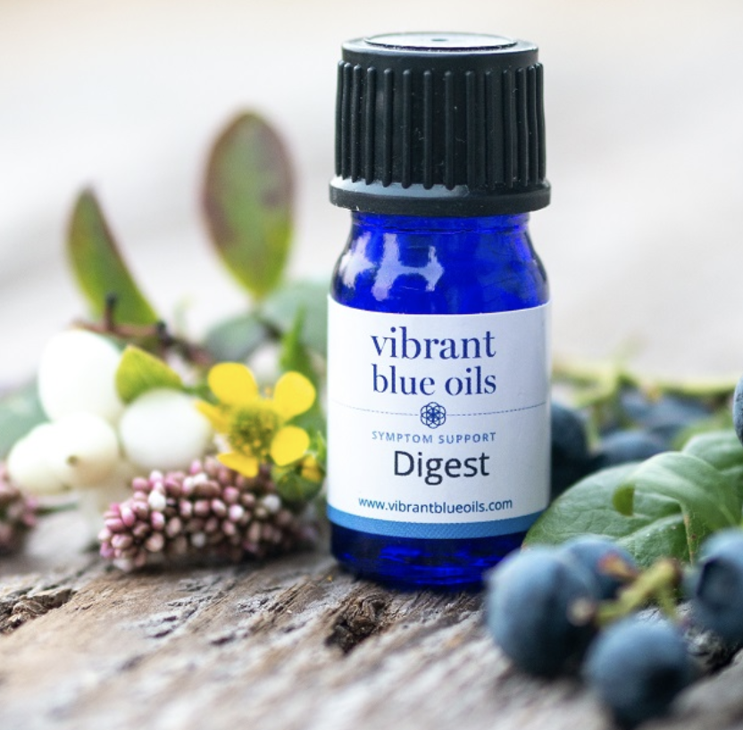 Digest 5 ML by Vibrant Blue Oils