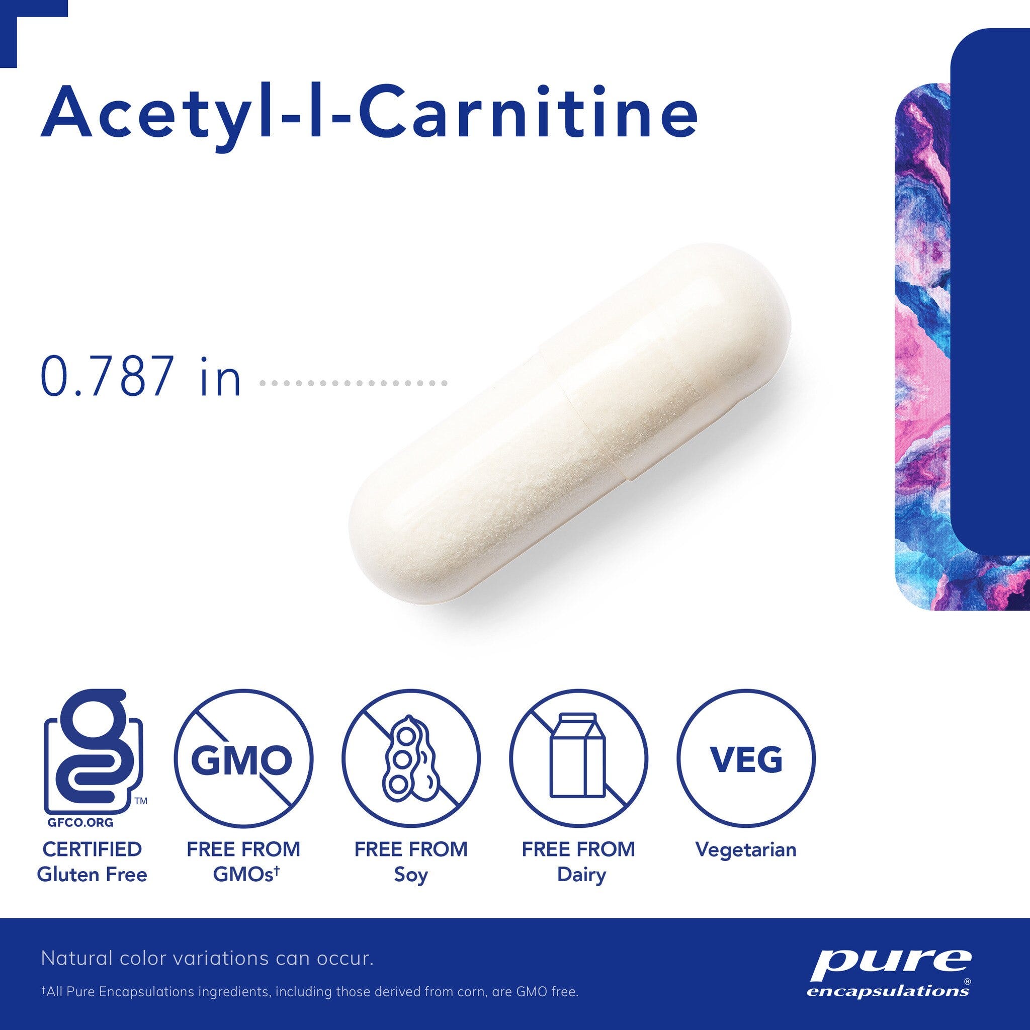 Acetyl-L-Carnitine 250 mg 60 Capsules by Pure Encapsulations