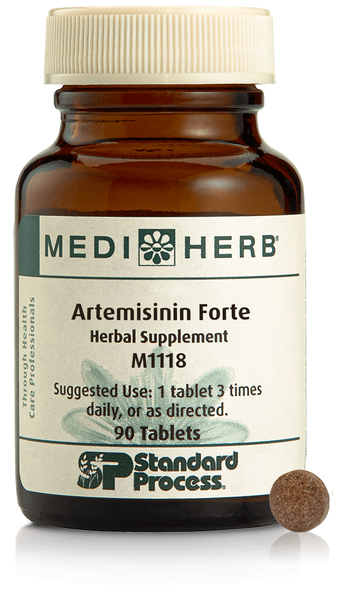 Artemisinin Forte, 90 Tablets