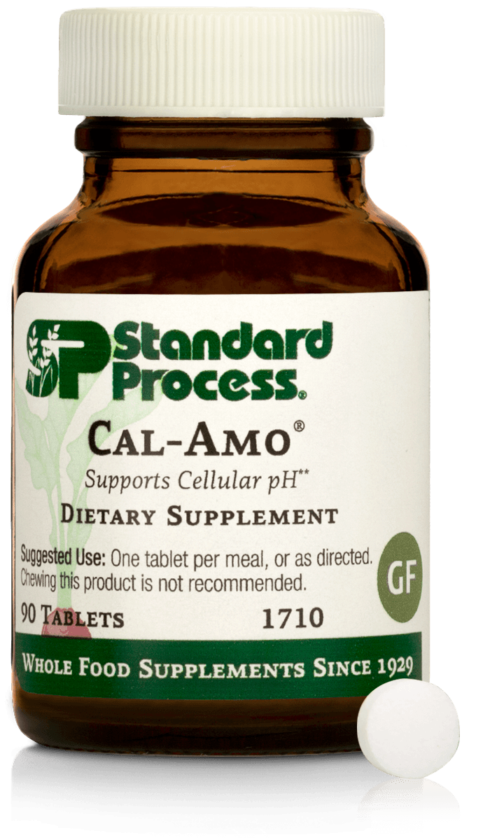 Cal-Amo 90 Tablets by Standard Process