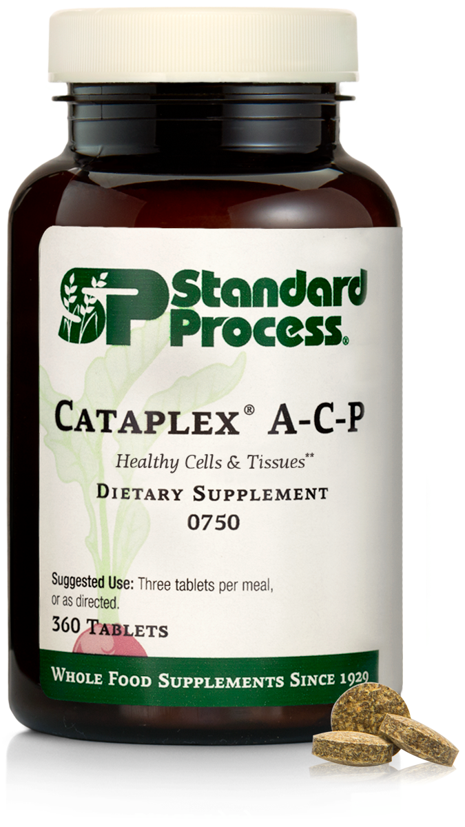 Cataplex A-C-P 360 Tablets by Standard Process