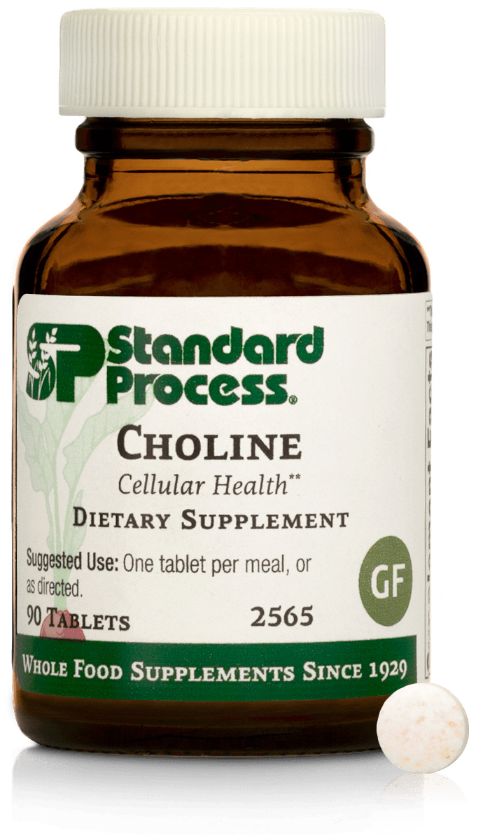 Choline 90 Tablets by Standard Process