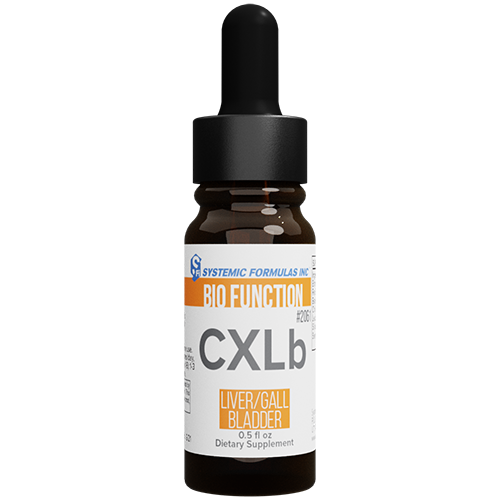 CXLb-Liver/Gall Bladder by Systemic Formulas — product image