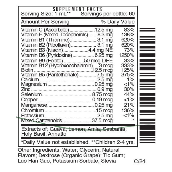 Fun Play by Systemic Formulas — Supplement Facts